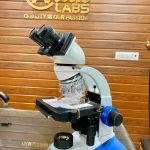 C- Shaped Binocular Microscope